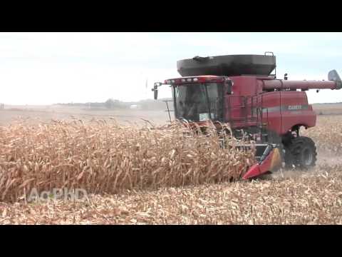 Farm Basics #915 - Chopping Corn Head (Air Date 10/18/15)