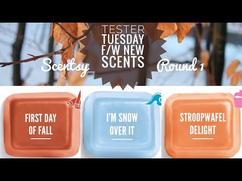 Tester Tuesday Scentsy Fall Winter New Scents - Round 1