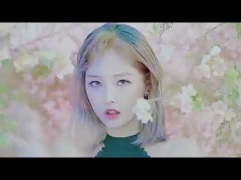 ELKIE'S 3'RD DEBUT MV ( COVER I KNEW IT BY SONAMOO )