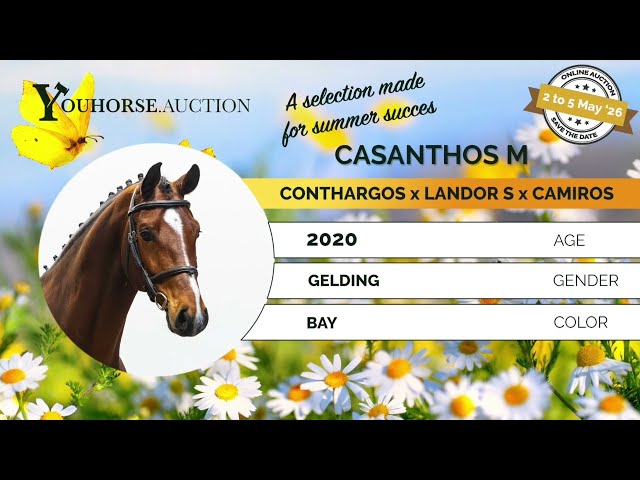 Casanthos flatwork