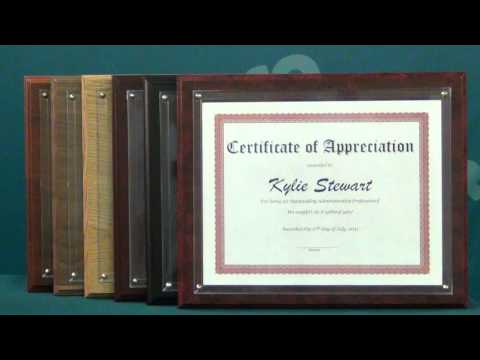 Instant Plaque Kit