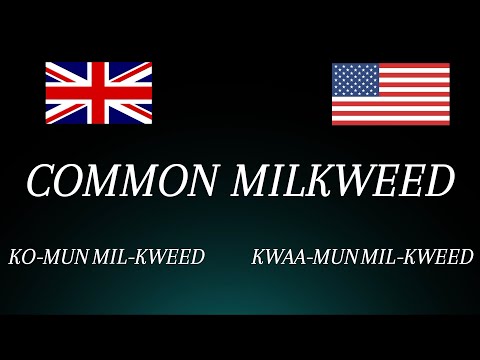 Learn How to Pronounce 'Common Milkweed' Perfectly: UK vs USA (Flower Pronunciation)