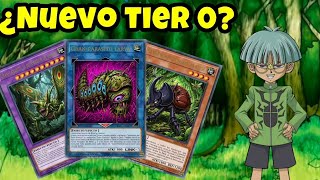 NUEVO ARQUETIPO INSECTO ES UNA LOCURA 😱#yugioh #youtube #insecto #meta #weevil #combos #impresiona