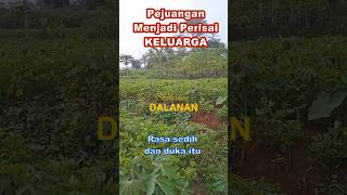 Thumbnail Stoikisme Dalanan