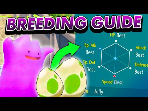 How to breed Perfect IV Pokemon in Scarlet and Violet