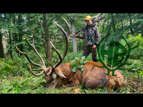 abnormer Goldmedaillen Rothirsch!!! - Hunt on Demand Free Episode