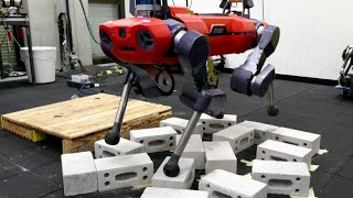 Multi-Layered Safety for Legged Robots via Control Barrier Functions and Model Predictive Control