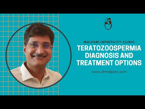 Teratozoospermia - Meaning, Diagnosis and Treatment options | Male infertility