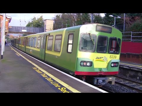 IE 8300 Class Dart Train number 8339 - Shankill Station, Dublin