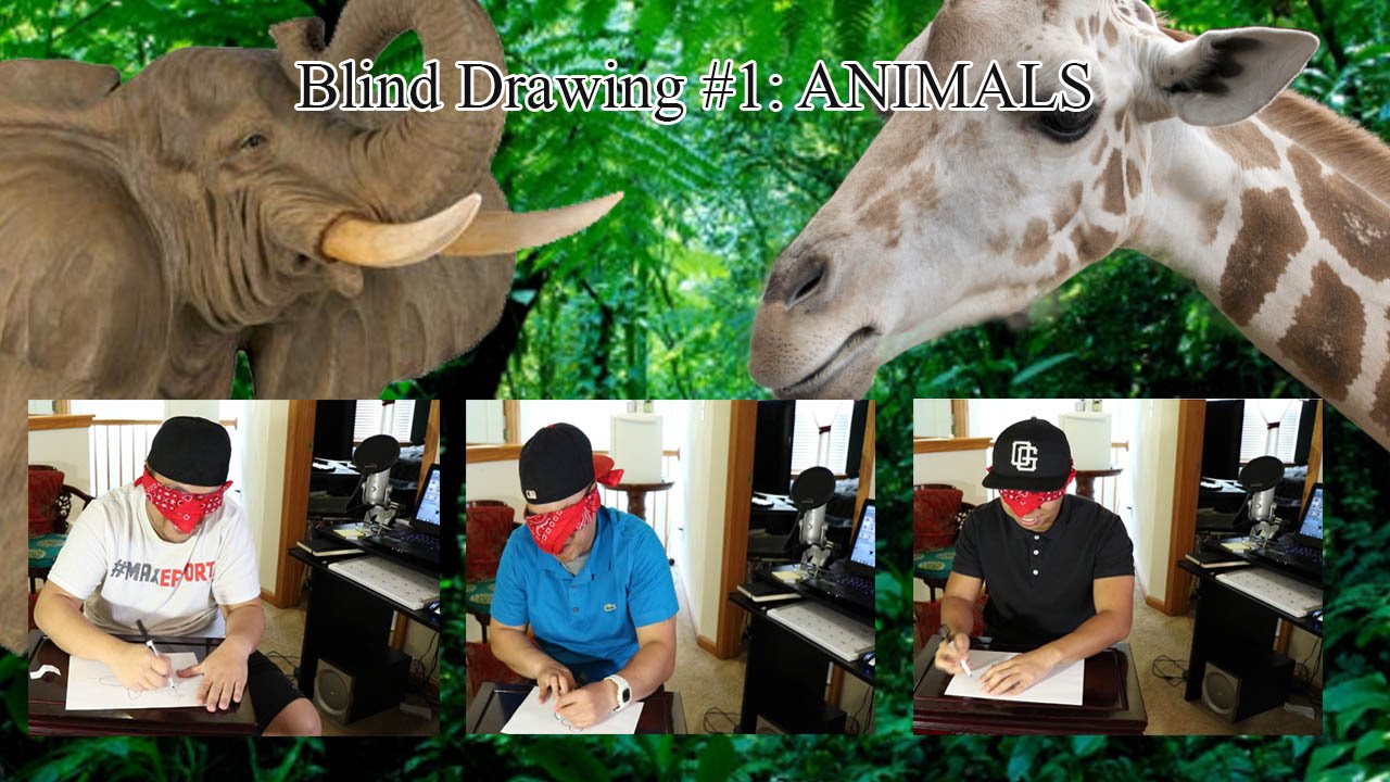 The Blind Drawing Game #1 Animals