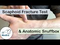 Scaphoid Fracture Test (Clinical Exam) and the Anatomic Snuffbox