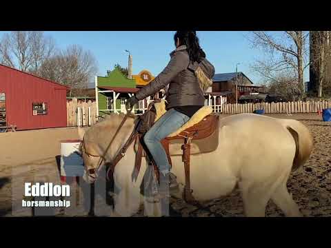 Eddlon horsemanship Edda Basis Reiten