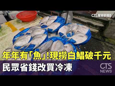 年年有「魚」！現撈白鯧破千元　民眾省錢改買冷凍