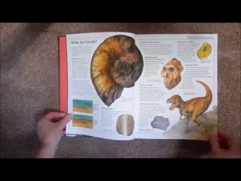 Encyclopedia of World History - Internet Linked (Combined volume)