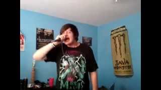 Behind The Veil Of Lies - Chelsea Grin (Vocal Cover)