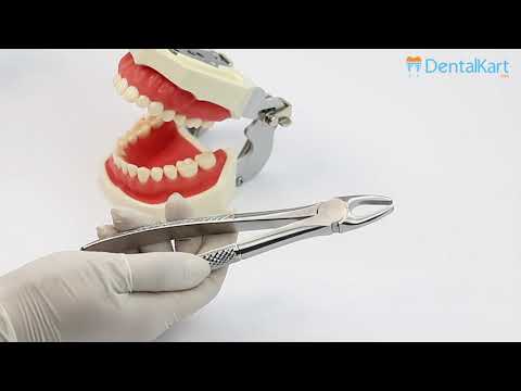 Waldent Tooth Extraction Forceps Upper Anteriors, No.1 (1/101)
