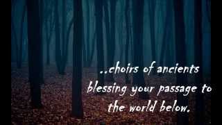 Emerald Forest and the Blackbird by Swallow the Sun