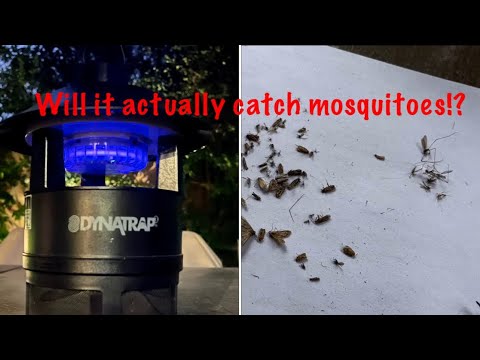 Dynatrap Mosquito trap.  Does it actually catch any mosquitoes?