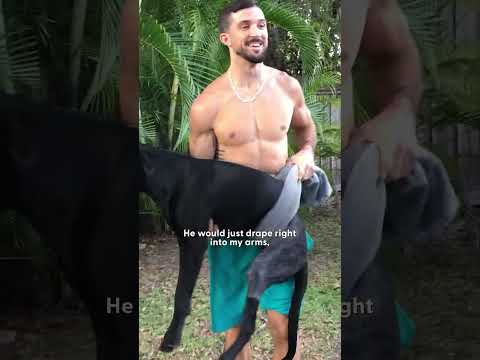 Un hombre adopta un perro de tres patas tras su divorcio | The Dodo