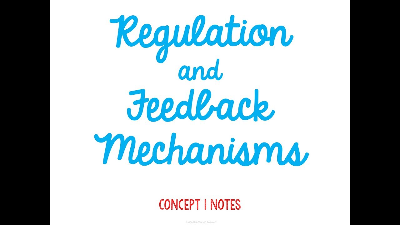 Homeostasis Mini Unit Concept 1 Notes