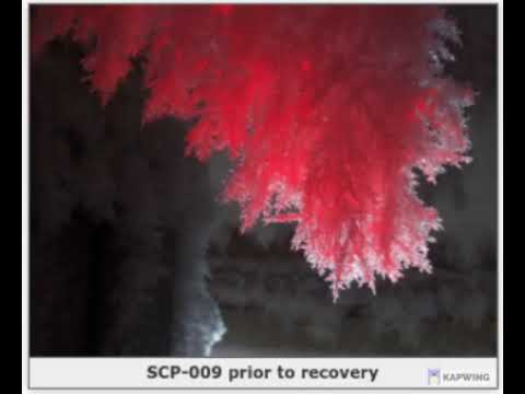 SCP-009 Audio File