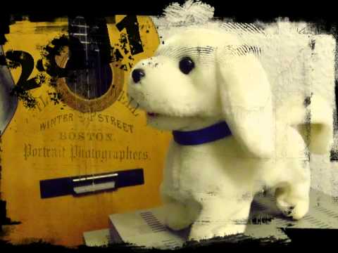 Seva   Noc je carobna