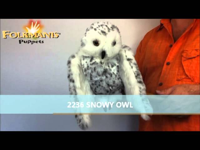 Video Teaser für 2236 Folkmanis SNOWY OWL