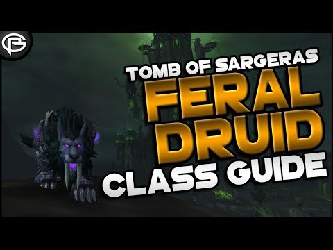 7.2.5 Basic Guides // Druid - Feral