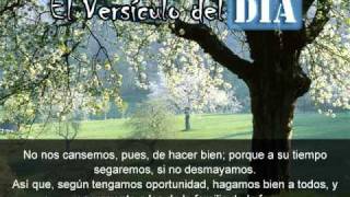 Miniatura del video: El versiculo del dia .com - Galatas 6 v9-10