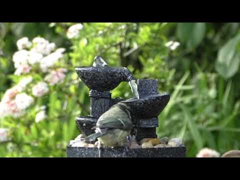 Opwekking 692 U bent mijn schild