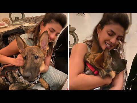 Priyanka Chopra Jonas ENJOYS staying at home with her adorable dog GINO
