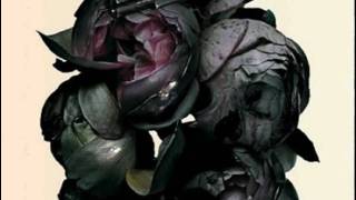 Massive Attack &quot;Atlas Air&quot; [HD]