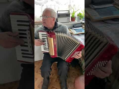 Weltmeister piano accordion, 1/2 accordion, 40 Bass, 5 registers, 26 keys, 3 voices