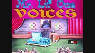 Mr Lil One - Voices