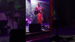 Bunny Ain't No Kind Of Rider - of Montreal (LIVE CLIP)