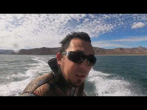 Micro skiff 14ft Sears Mulege BCS