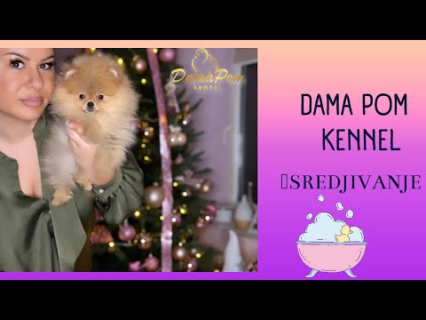 Kupamo stene pomeranca 🐶