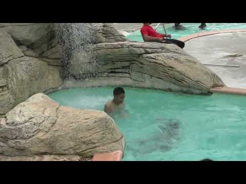 La Saint Gilloise Tournoi National Saint-Gely-Du-Fesc. FC Rueil Malmaison U12A.