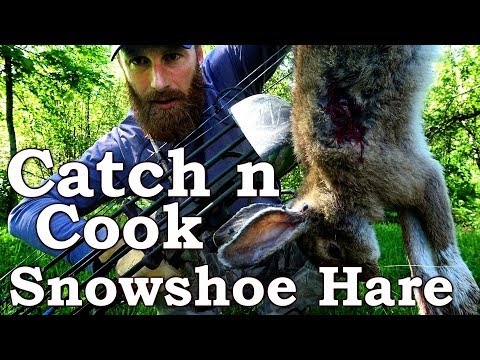 Bowhunting Urban Rabbit, Cooked Over Fire Video