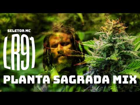 DJ MC LR91 - Planta Sagrada Mix / Sacred Plant Mixtape (Reggae ◉ New Roots ◉ Dub ◉ Dancehall) • 2022