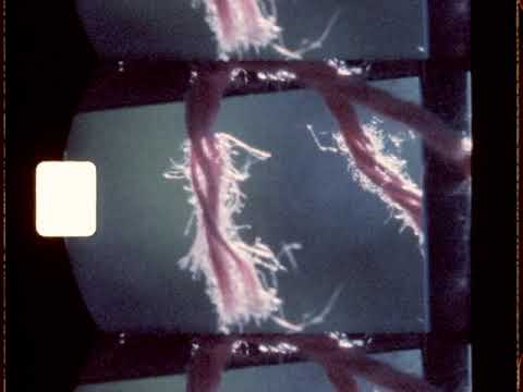 Illuminine - Take 3 - Ways (Official Super 8 Film by Ady Cousins)