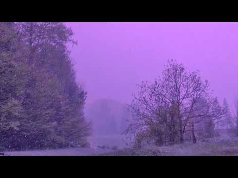 Sometimes It Snows In April (Prince Tribute Cover)