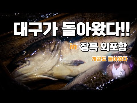 찬 바람이 싸늘하게 두 뺨을 스치면 거제대구수산물축제!! 몹시도 그리웁구나