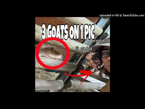 lil najna & mrstefan291 - lekcje minecrafta