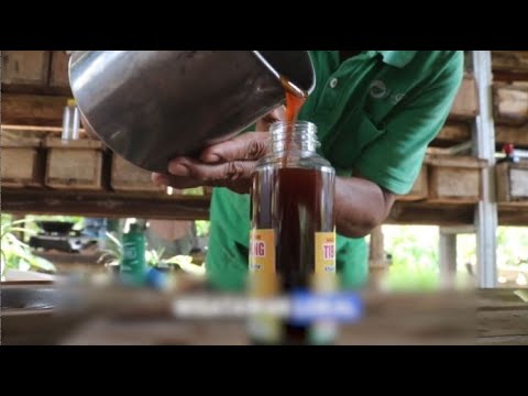 KETAHANAN PANGAN BUDIDAYA MADU POLRES LOMBOK BARAT