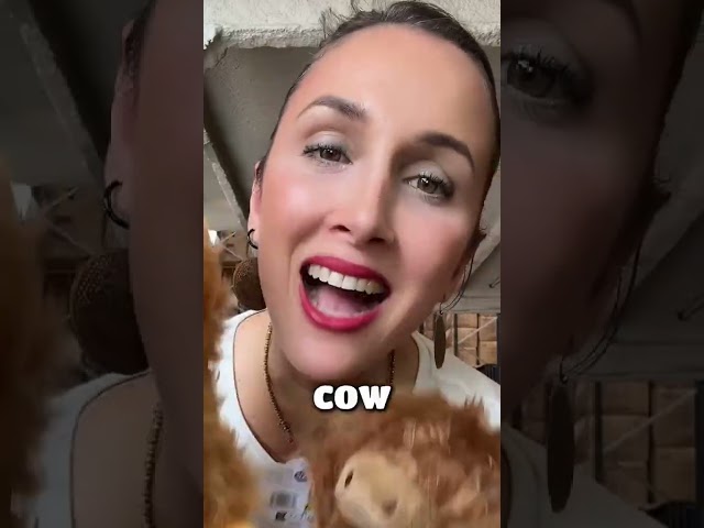 Vídeo relacionado con Living Nature Vaca Highland, Juguete de granja suave y realista, peluche ecológico Naturli, 16 cm