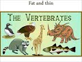 Year 3  The vertebrates song