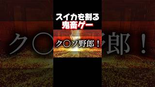 声でスイカ割りを指示したら言うこと聞かな過ぎてブチギレです。 #shorts #暴れん坊将軍