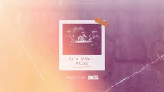 A1 & Dako - Plug