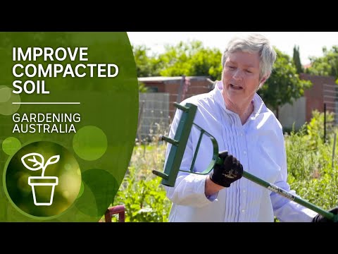 How to improve compacted soil | DIY Garden Projects |...